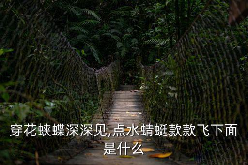 穿花蛺蝶深深見,點(diǎn)水蜻蜓款款飛下面是什么