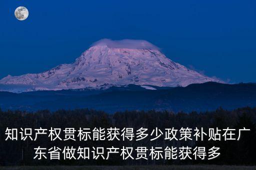 知識產權貫標能獲得多少政策補貼在廣東省做知識產權貫標能獲得多