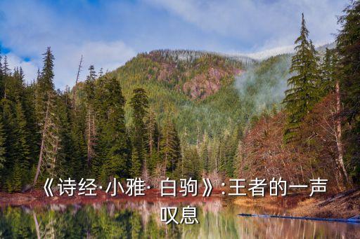 《詩經·小雅· 白駒》:王者的一聲嘆息