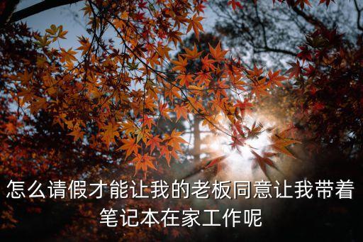 怎么請假才能讓我的老板同意讓我?guī)еP記本在家工作呢