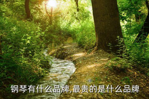 鋼琴牌子排名,全球鋼琴品牌排行榜出爐!我國排名第五