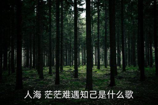 人海 茫茫難遇知己是什么歌