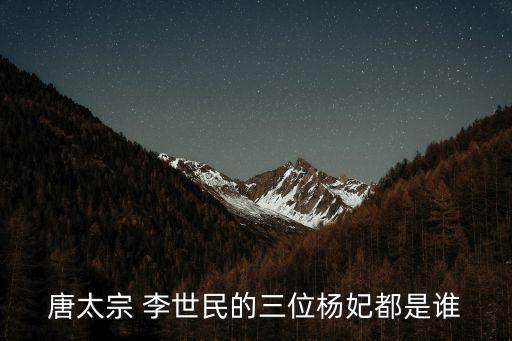 李世民老婆,李世民的第一個老婆是誰?