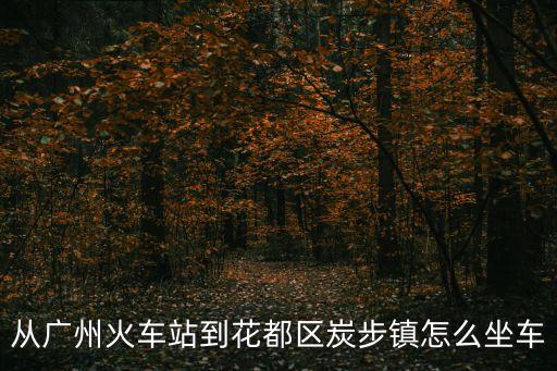 廣州市站到炭步的車，廣州市站到炭步汽車站