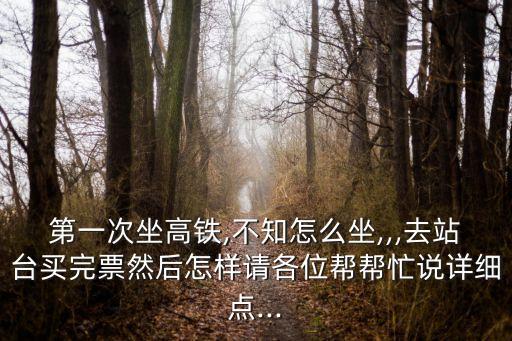 第一次坐高鐵,不知怎么坐,,,去站臺買完票然后怎樣請各位幫幫忙說詳細點...