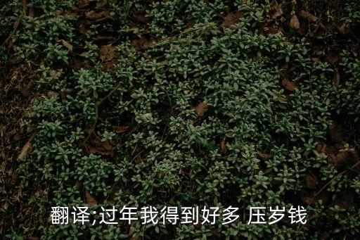 壓歲錢英語,孩子們能從父母那里得到壓歲錢英語