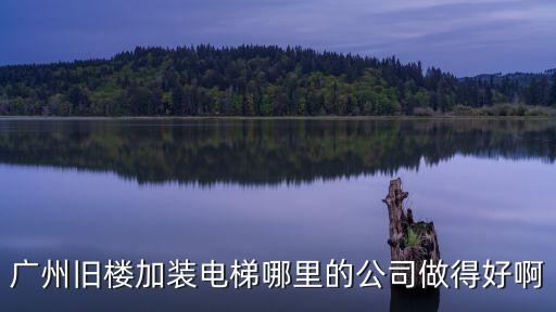 廣州舊樓加裝電梯哪里的公司做得好啊