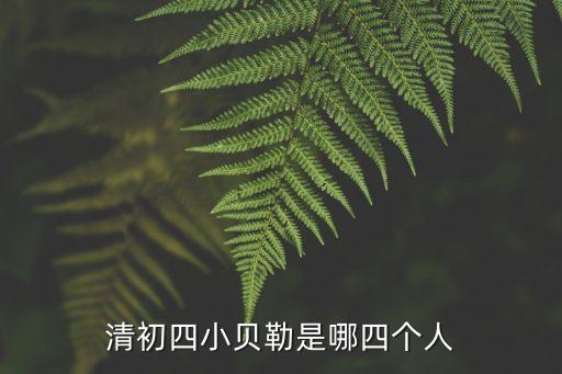 貳貝勒廣州之子，清初四小貝勒是哪四個(gè)人