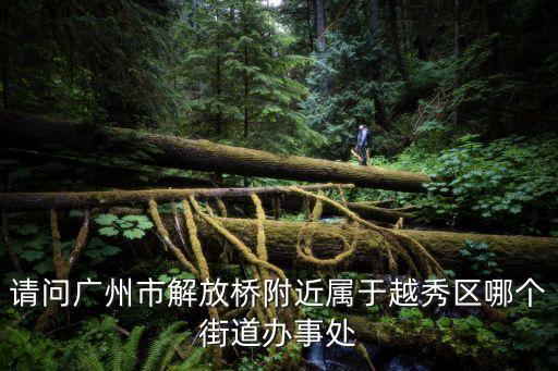 廣州越秀區光塔街社區，廣州五月花商場屬于哪個居委會