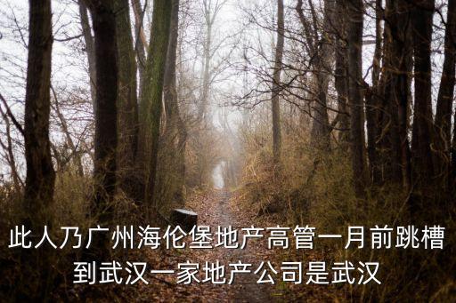 廣州壯熊個人，此人乃廣州海倫堡地產高管一月前跳槽到武漢一家地產公司是武漢