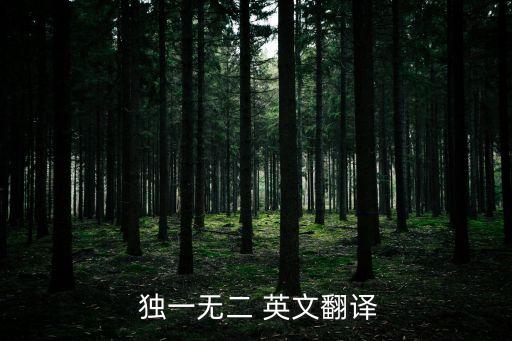 獨一無二的英文,獨特的英文