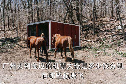廣州至金邊往返機票，廣州到金邊機票多少錢