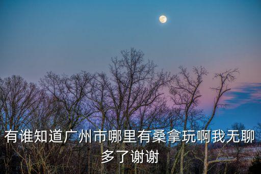 有誰知道廣州市哪里有桑拿玩啊我無聊多了謝謝