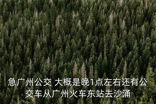 廣州有夜班車到沙涌嗎，廣州火車東站到沙涌北的夜班車怎么坐
