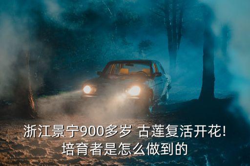 古蓮
