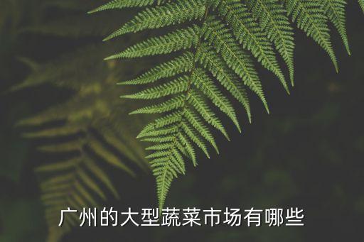 廣州的大型蔬菜市場有哪些
