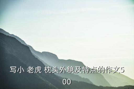 老虎枕頭,老人去逝枕布老虎枕頭有何說法?
