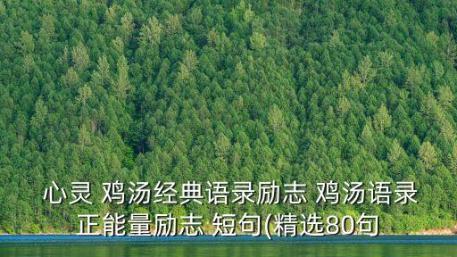  心靈 雞湯經典語錄勵志 雞湯語錄正能量勵志 短句(精選80句