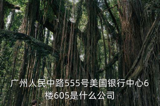 廣州人民中路555號美國銀行中心6樓605是什么公司