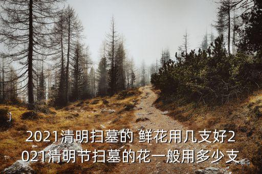 2021清明掃墓的 鮮花用幾支好2021清明節(jié)掃墓的花一般用多少支