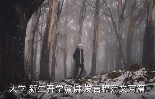 大學 新生開學演講 發言稿范文兩篇