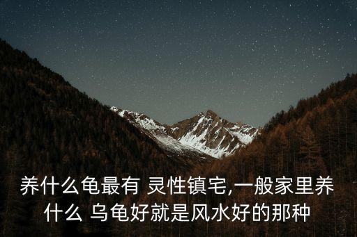 養什么龜最有 靈性鎮宅,一般家里養什么 烏龜好就是風水好的那種