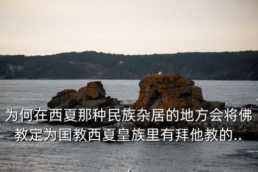 為何在西夏那種民族雜居的地方會將佛教定為國教西夏皇族里有拜他教的...