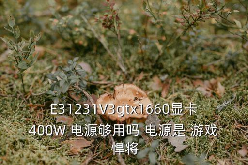 E31231V3gtx1660顯卡400W 電源夠用嗎 電源是 游戲 悍將