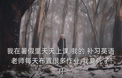 我在暑假里天天上課,我的 補習英語 老師每天布置很多作業,我要死了!!!