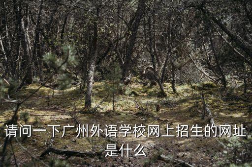 廣州外國語大學官網，請問一下廣州外語學校招生的網址是什么