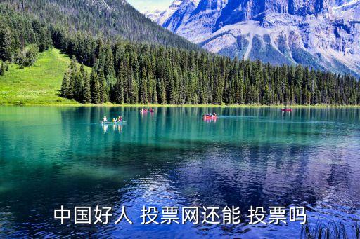 投票網