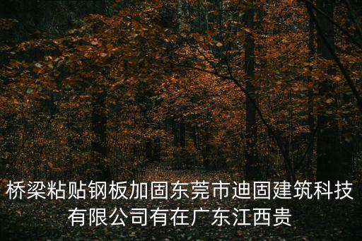 橋梁粘貼鋼板加固東莞市迪固建筑科技有限公司有在廣東江西貴
