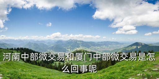 河南中部微交易和廈門中部微交易是怎么回事呢