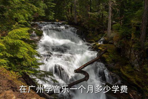 在廣州學音樂一個月多少學費