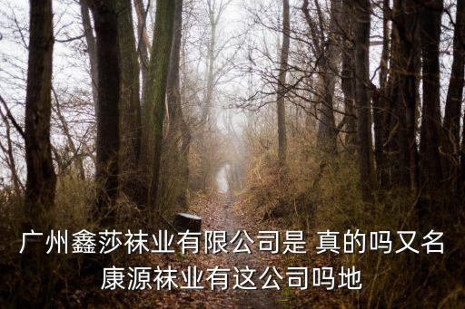 廣州鑫莎襪業，126tc納米防臭襪是傳銷組織嗎