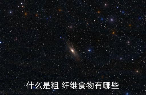 什么是粗 纖維食物有哪些