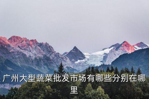 廣州有大型的菜市場嗎，廣州的大型蔬菜市場有哪些