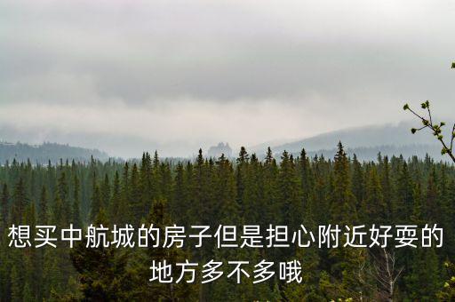 想買中航城的房子但是擔心附近好耍的地方多不多哦