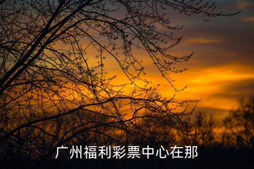 廣州福利彩票中心在那