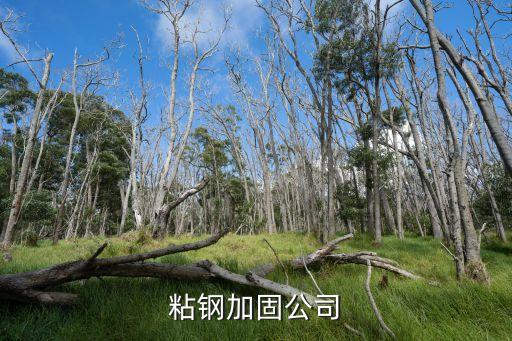廣州粘鋼板加固公司，粘鋼加固公司