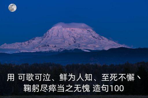 用 可歌可泣、鮮為人知、至死不懈丶鞠躬盡瘁當之無愧 造句100