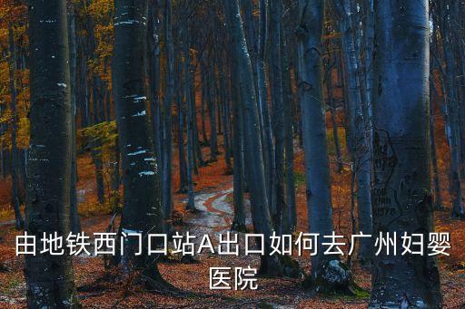 廣州市婦幼 郭凱敏，由地鐵西門口站A出口如何去廣州婦嬰醫院