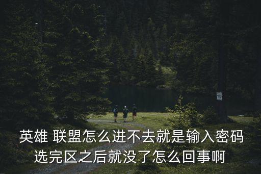  英雄 聯盟怎么進不去就是輸入密碼選完區之后就沒了怎么回事啊