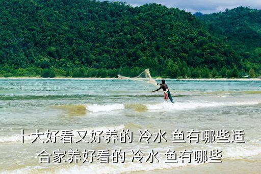 十大好看又好養的 冷水 魚有哪些適合家養好看的 冷水 魚有哪些