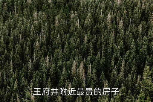 廣州王府井附近二手房，王府井附近最貴的房子