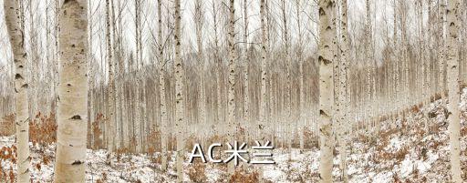 AC米蘭