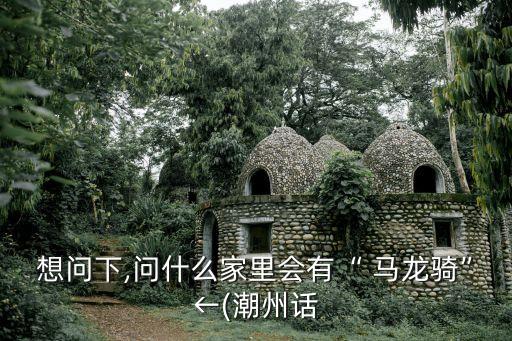 想問下,問什么家里會有“ 馬龍騎”←(潮州話