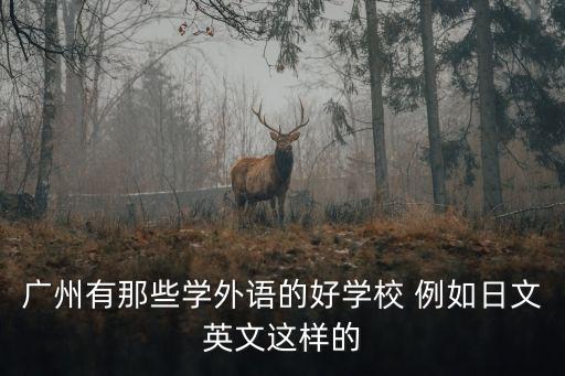 廣州外語(yǔ)學(xué)校排名，廣州有那些學(xué)外語(yǔ)的好學(xué)校 例如日文英文這樣的