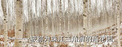 一一一被稱為珠江三角洲的后花園