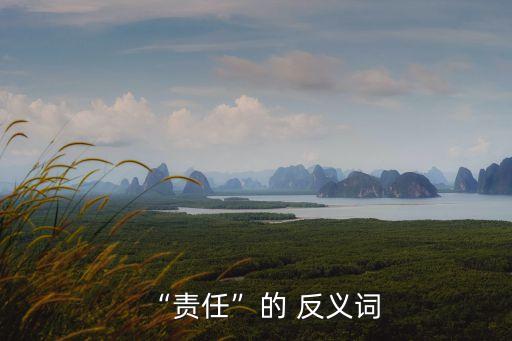 負責的反義詞,負責的反義詞是什么?